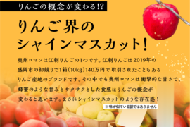 すぐに届く🍎🏃‍♀️【りんご界のシャイマスカット】見た目はガサガサです！奥州ロマン 訳あり品 5キロ箱 11～33玉サイズ ID12924 長野 安曇野 リンゴ 幻 幻のリンゴ  希少  甘い