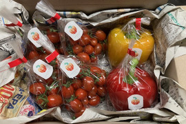完熟パプリカとミニトマトの詰め合わせ・約１．２ｋｇ！
赤パプリカ２玉、黄パプリカ２玉（２００ｇ以上/１玉）、ミニトマト２袋（約１８０ｇ/１袋）。