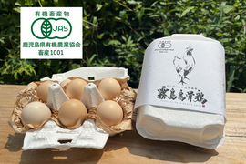 【高級卵】オーガニック烏骨鶏卵「霧島烏骨鶏」6個入（有機JAS・放し飼い卵）【お歳暮・内祝に】