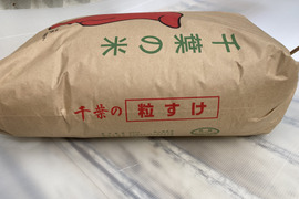 【令和６年産】千葉県産の品種　粒すけ　（玄米３０㎏・白米２７㎏選べます）