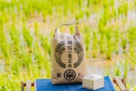 【リオレのレシピ付き】【令和4年産新米】特別栽培米きぬむすめ「縁起の竜王米」 玄米10kg(5kgx2袋)