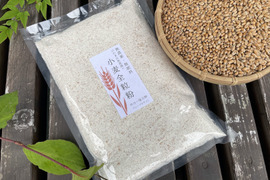 〈メール便〉生命力溢れる 小麦全粒粉 450g【無肥料・栽培期間中農薬不使用 自然栽培 天日干し】