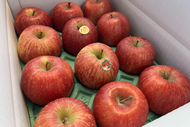 【家庭用】サンふじ 小玉   約3kg(11～14個)