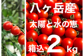 八ヶ岳産トマト　約２kg（こくがあって味濃いめ！お子様も食べやすい！）