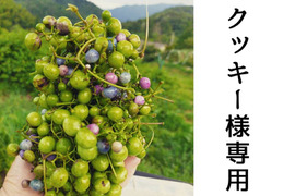 クッキー様専用商品