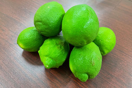 皮ごとどうぞ！瀬戸内の太陽を浴びた広島県産グリーンレモン「璃の香」(1kg/約7~10個)
