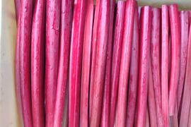 ★ルバーブ買うなら今です★涼しくなり真っ赤になった真紅のルバーブ★【八ヶ岳山麓朝採り新鮮な赤ルバーブ１Kg】＝手作りジャムに最適＝長野県茅野産＝