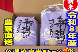 新米　令和８年新潟県産　従来種コシヒカリ　【白米】5kg×4個　店頭で入手するのは難しい希少米です。　　★農家直送★色彩選別済（栽培が難しく、手間がかかるお米）