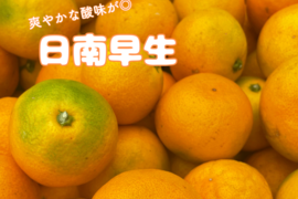 果汁たっぷり！有田みかん 日南早生 5ｋｇ•家庭用