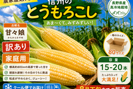 🌽【朝採れ・農家直送】訳あり 長野県産 甘々娘 15〜20本 クール便発送 家庭用