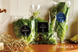 LED施設栽培野菜 LOHASALAミックス&ロメイン&フリルセット (各1個入/合計280g個包装) 洗わずに食べられる魅力満載のサスティナブル新野菜☆☆【菌数管理栽培野菜】