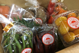 【お届け指定日不可：旬のお野菜が届きます♪】自然栽培べっぴんやさいお楽しみBOX(5種類60～80サイズ)
