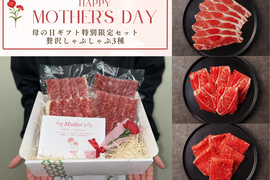 【母の日ギフト】里山牛の豪華しゃぶしゃぶ3種 特別限定セット（カーネーション・メッセージカード付き）
