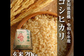 【節減対象農薬6割減】コシヒカリ 玄米20g（10kg×2袋）【令和6年・愛知県産】