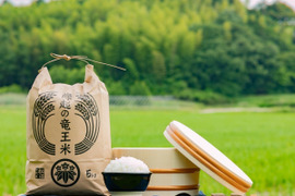 【冬ギフト】【無洗米5kg】特別栽培米！1750年から続くお米農家が作ったお米『縁起の竜王米』　滋賀県竜王町産