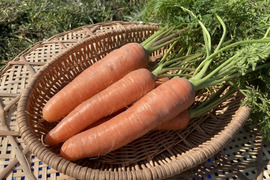 甘み旨みたっぷり！栄養価コンテスト受賞！掘りたて人参3kg 化学合成農薬・化学肥料・除草剤不使用！子どももパクパク