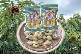 ほっこり濃厚！粗むき栗（冷凍） 500ｇ（フリーザーパック250g×2袋）