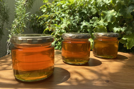 【2024新蜜】日本蜜蜂の生ハチミツ 510g（170g×3個）非加熱／無添加