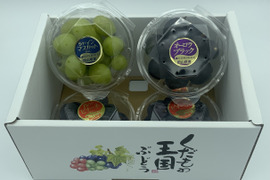 氷温®ぶどう岡山名産ぶどう食べ比べセット（４パック（1パック180g前後））