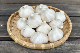【再入荷・出店記念・数量限定】農薬・化学肥料不使用！にんにく(福地ホワイト六片)MS混在・500g
