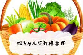 松ちゃんだわ様専用
