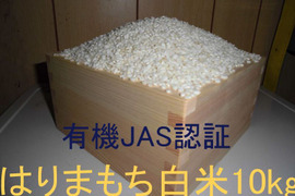 有機JAS認証【農薬不使用「はりまもち」白米10kg】甘くてよく伸びるもち米 2025年兵庫県産「タガメの里・自然米」