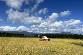 2024年産米　ひとめぼれ　精白米１０ｋｇ　岩手県『虹の似あうまち』雫石町からお届けします。