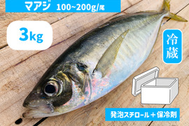 マアジ３ｋｇボックス100~200g/尾【５月～期間限定・水揚げ無くなり次第終了】※下処理なし≪発泡スチロール箱≫