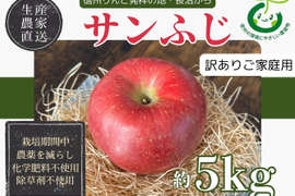 生産農家直送 りんご サンふじ 訳あり ご家庭用 5kg 長野県産 信州りんご発祥の地 長沼りんご 化学肥料不使用 除草剤不使用 人にやさしく環境にもやさしい農産物