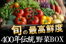🎊TBS大泉サンド出演記念キャンペーン🎊多くの声により遂に解禁!寛永鶴見ブランドオールスター野菜BOXお得な詰め合わせセット!高級志向のあなたへ贈る特別な野菜ボックスお試し約1kg