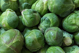 【食べチョクアワード2025受賞】
ともちゃんの芽キャベツ　１ｋｇ