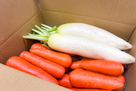 【ゲン担ぎ福袋】秋どれだいこんと香るにんじんの紅白セット｜大根3本&人参3kgセット