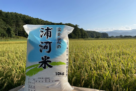 北海道産 特別栽培米 (令和5年産)おぼろづき10kg(精米)