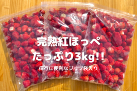 【静岡県産 土耕栽培】濃く甘 冷凍いちご〈紅ほっぺ〉３ｋｇ