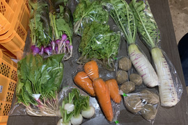 【自然栽培】会津伝統野菜含む5~8品目旬のお野菜セットLサイズ
