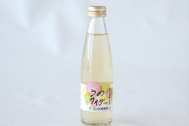 【アウトレット特別価格 30％OFF】和歌山フルーツサイダー(うめ)　24本セット　n14013-24