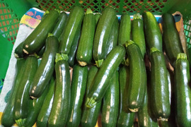 【大好評！本当に美味しい】自然栽培ズッキーニ10本