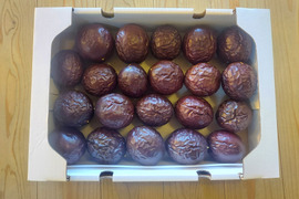 瀬戸内香川のパッションフルーツ　　食べ頃1.5㎏