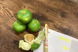 ３ｋｇで終了　終了！もぎたて極早生1.5ｋｇお試しから、10セットも送料同じ瀬戸内石積み段々畑から　石野水産同梱OK送料追加無し、ヒジキせんべいの同梱もＯＫ　冷蔵品同梱はみかん3セットまで