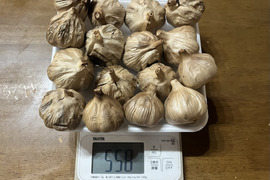 【おまとめ特価16個】お求めやすくなりました！ 
23 自然栽培　黒にんにく 人気　たっぷり16個
令和8年度新物　食べやすくて美味しい