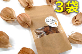 ギュッと凝縮！！セミドライゴールデンベリー（食用ほおずき）15g×3袋入り