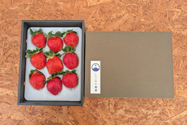 【大切な方への贈り物に】贅沢！食べ比べいちご 化粧箱入り400g×1トレー
