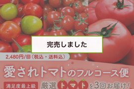 【完売御礼】【限定100セット】愛されトマトのフルコース便🍅（食べチョク公式）