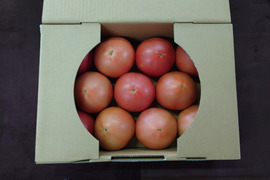 (Sｾｯﾄ）夏の贅沢！清涼感あふれる王道トマト2kg