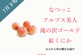 【7月下旬発送】桃好き必見！桃のリレーが楽しめる！季節の【桃】おうち用（もも）お試しセット 約2kg 約5~8玉