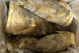 合馬(おうま)産　朝掘り掘りたて産直筍(たけのこ)　約4Kg