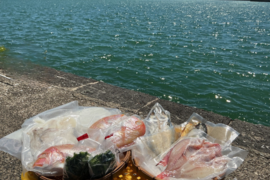 今だけ ✨️季節限定 
五島列島産 海の幸 詰め合わせセット✨
旬の魚バラエティ
何が入るかお楽しみ！！