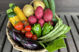 【有機JAS】旬の野菜セット 5-6品目（80サイズ）