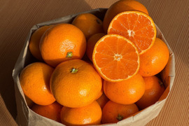 【静岡県産 ほぼS〜Mサイズ】隠れた名品！今が旬！豊かな甘みとほどよい酸味！細江町の早生みかん（興津）4kg