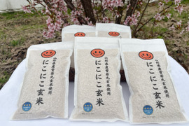 【令和7年新米】【笑う玄米生活・にこにこ玄米・5パック】【冬ギフト】米どころ山形県さがえより大粒！雪若丸玄米パック(300g・2合)　5個入り。玄米食で毎日をにこにこにしたいかたに